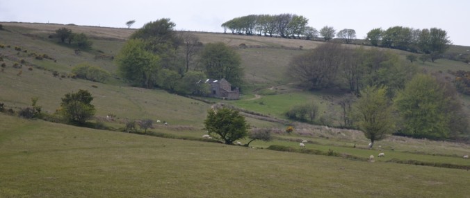 Landscape view of Cottage